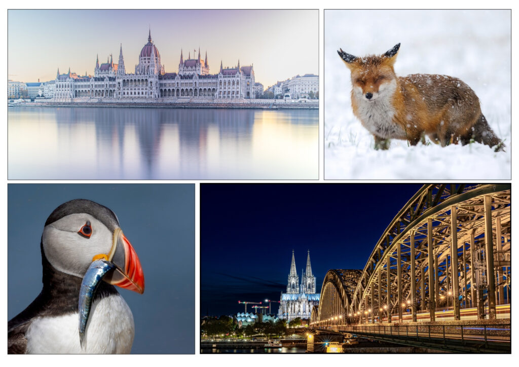 Foto Ellen Lichtenhelt