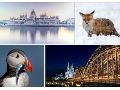 Foto Ellen Lichtenhelt